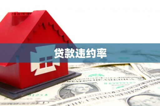 彬县贷款违约率