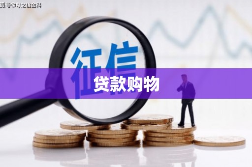 彬县贷款购物