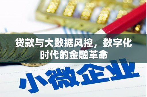 彬县贷款与大数据风控，数字化时代的金融革命