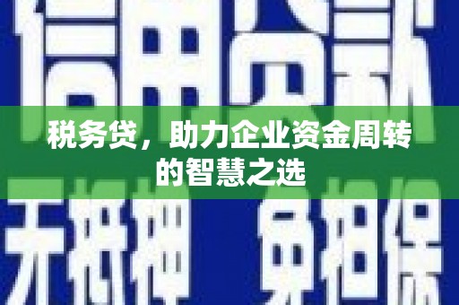 彬县税务贷，助力企业资金周转的智慧之选