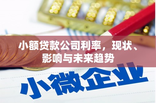 彬县小额贷款公司利率，现状、影响与未来趋势
