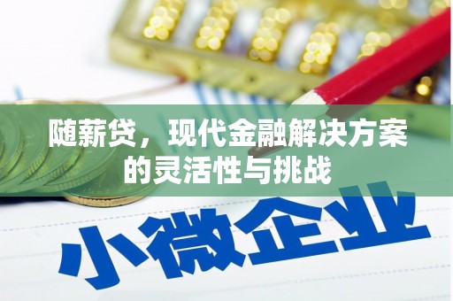 彬县随薪贷，现代金融解决方案的灵活性与挑战