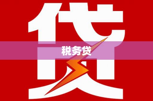 彬县税务贷