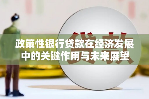 彬县政策性银行贷款在经济发展中的关键作用与未来展望