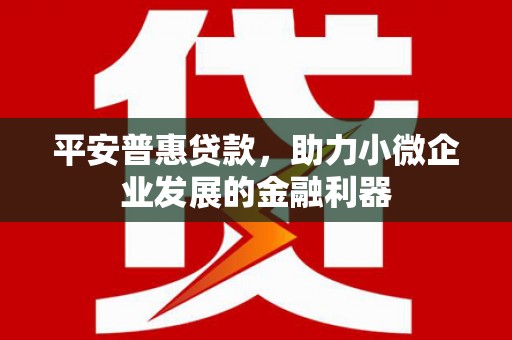 彬县平安普惠贷款，助力小微企业发展的金融利器