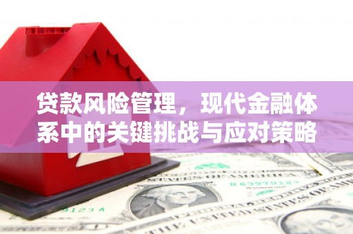 彬县贷款风险管理，现代金融体系中的关键挑战与应对策略