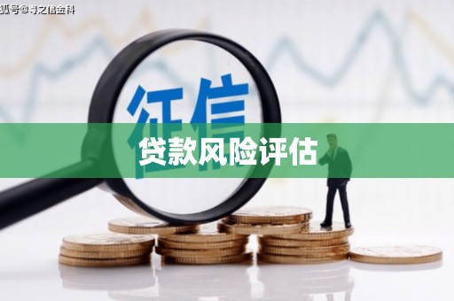 彬县贷款风险评估