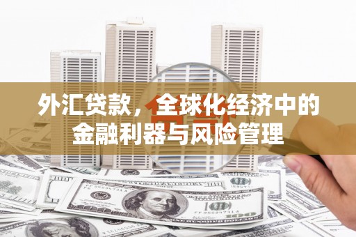 彬县外汇贷款，全球化经济中的金融利器与风险管理