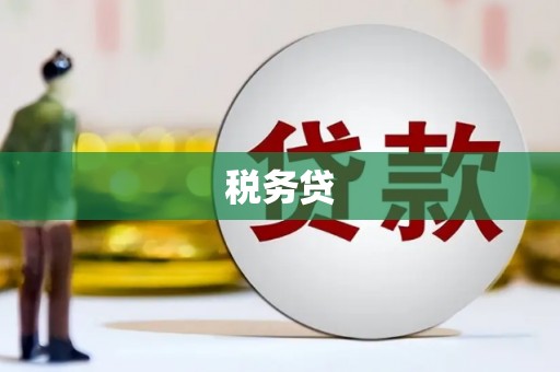 彬县税务贷