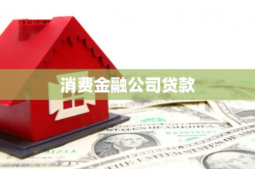 彬县消费金融公司贷款