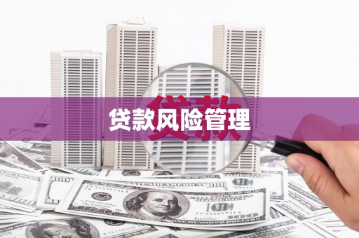 彬县贷款风险管理
