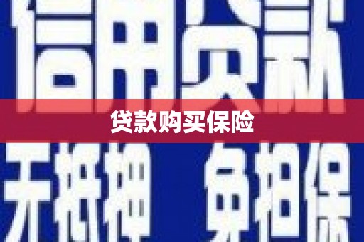 彬县贷款购买保险