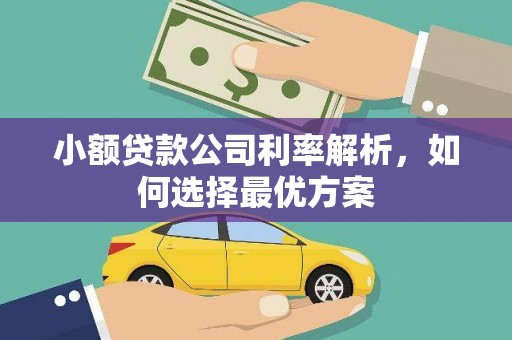 彬县小额贷款公司利率解析，如何选择最优方案