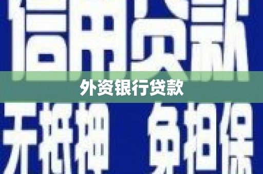 彬县外资银行贷款