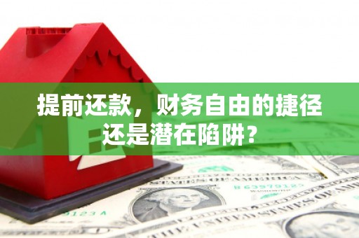彬县提前还款，财务自由的捷径还是潜在陷阱？