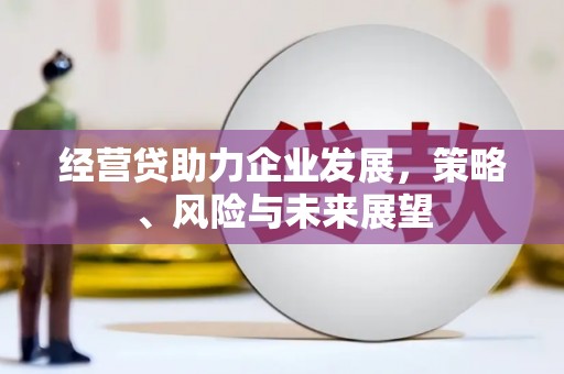彬县经营贷助力企业发展，策略、风险与未来展望