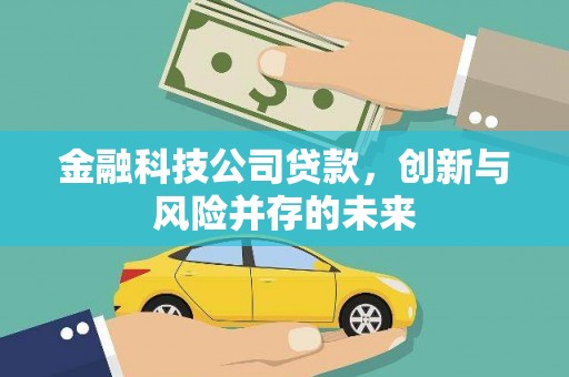 彬县金融科技公司贷款，创新与风险并存的未来
