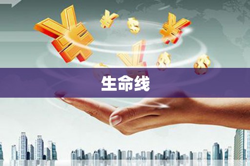 彬县生命线
