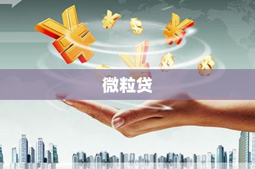 彬县微粒贷