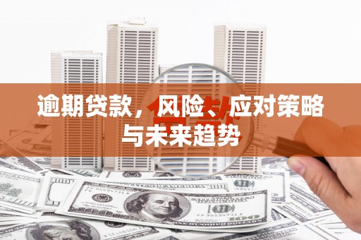 彬县逾期贷款，风险、应对策略与未来趋势