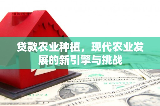 彬县贷款农业种植，现代农业发展的新引擎与挑战