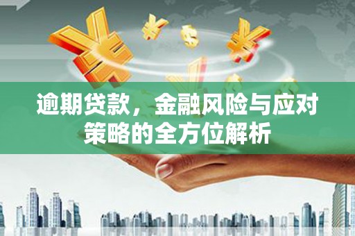 彬县逾期贷款，金融风险与应对策略的全方位解析
