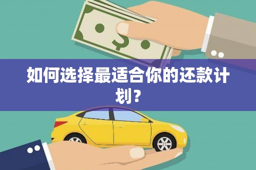 彬县如何选择最适合你的还款计划？
