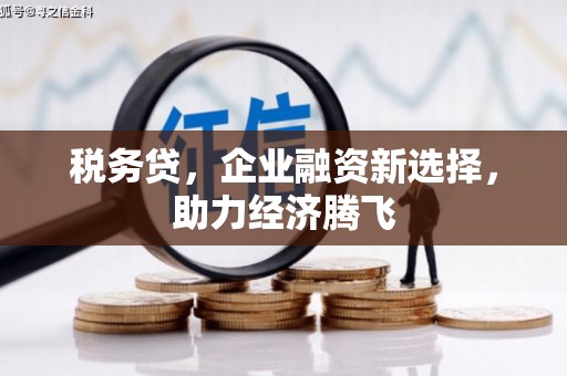 彬县税务贷，企业融资新选择，助力经济腾飞