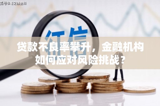 彬县贷款不良率攀升，金融机构如何应对风险挑战？