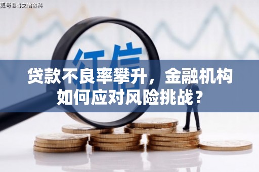 彬县贷款不良率攀升，金融机构如何应对风险挑战？