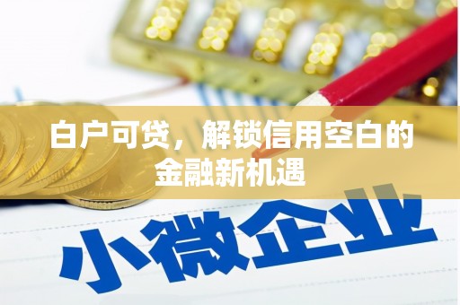 彬县白户可贷，解锁信用空白的金融新机遇