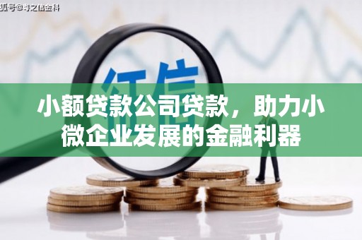 彬县小额贷款公司贷款，助力小微企业发展的金融利器