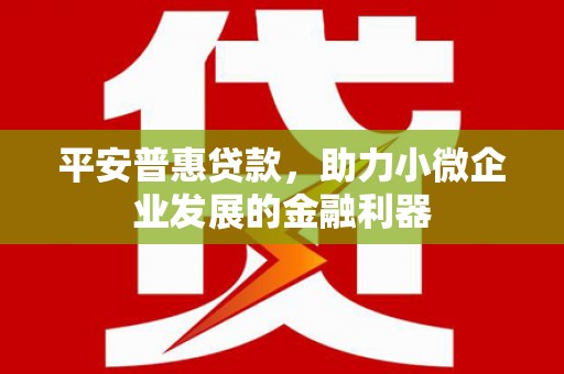 彬县平安普惠贷款，助力小微企业发展的金融利器