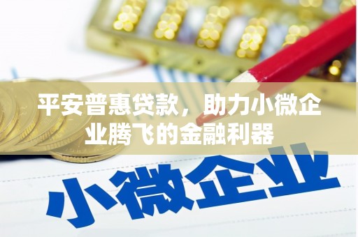 彬县平安普惠贷款，助力小微企业腾飞的金融利器
