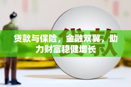 彬县贷款与保险，金融双翼，助力财富稳健增长