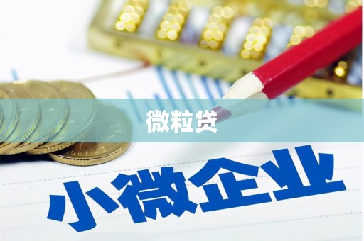 彬县微粒贷