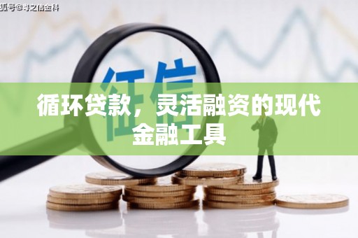 彬县循环贷款，灵活融资的现代金融工具