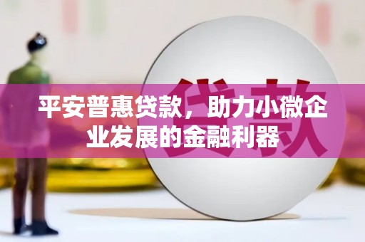 彬县平安普惠贷款，助力小微企业发展的金融利器
