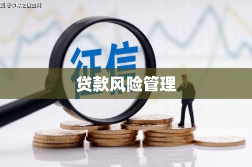 彬县贷款风险管理
