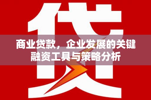 彬县商业贷款，企业发展的关键融资工具与策略分析