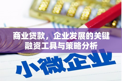 彬县商业贷款，企业发展的关键融资工具与策略分析