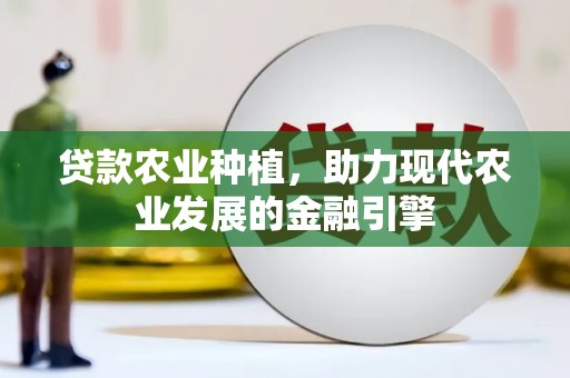 彬县贷款农业种植，助力现代农业发展的金融引擎