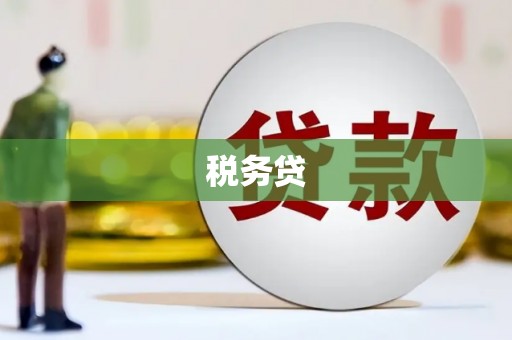 彬县税务贷