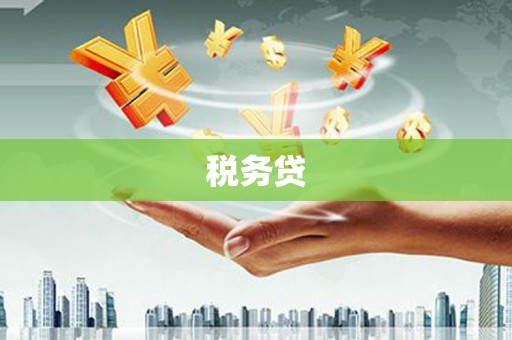 彬县税务贷