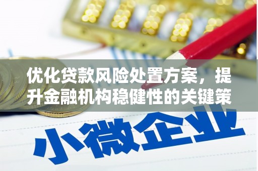 彬县优化贷款风险处置方案，提升金融机构稳健性的关键策略
