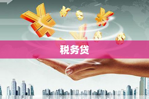 彬县税务贷