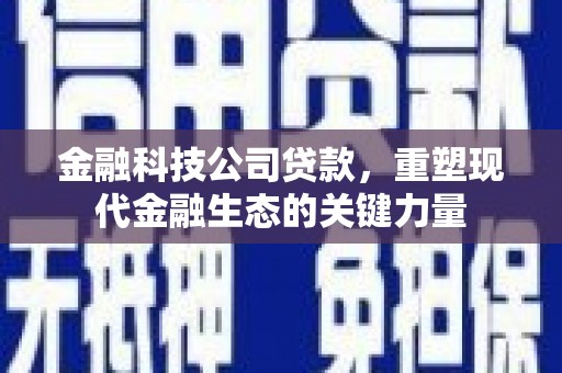 彬县金融科技公司贷款，重塑现代金融生态的关键力量