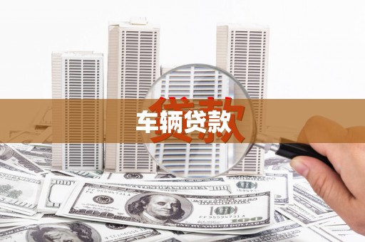 彬县车辆贷款