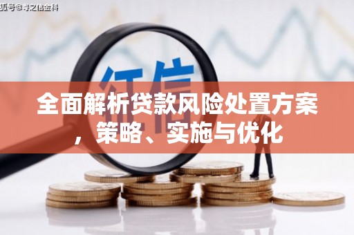 彬县全面解析贷款风险处置方案，策略、实施与优化