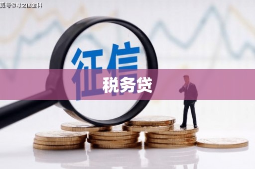 彬县税务贷